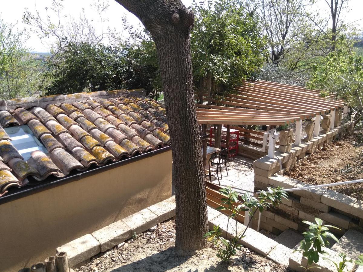 Barbagianni Villa Senigallia Luaran gambar