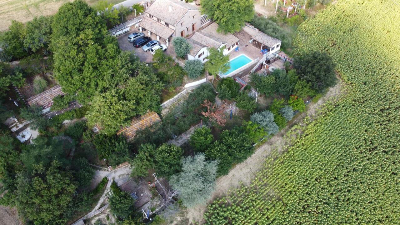 Barbagianni Villa Senigallia Luaran gambar