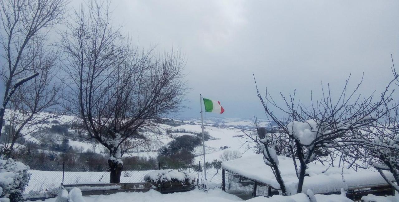 Barbagianni Villa Senigallia Luaran gambar