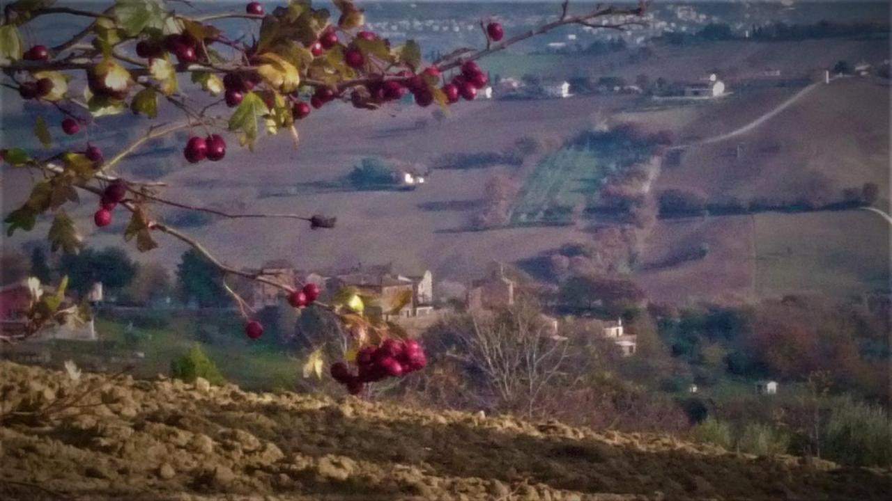 Barbagianni Villa Senigallia Luaran gambar