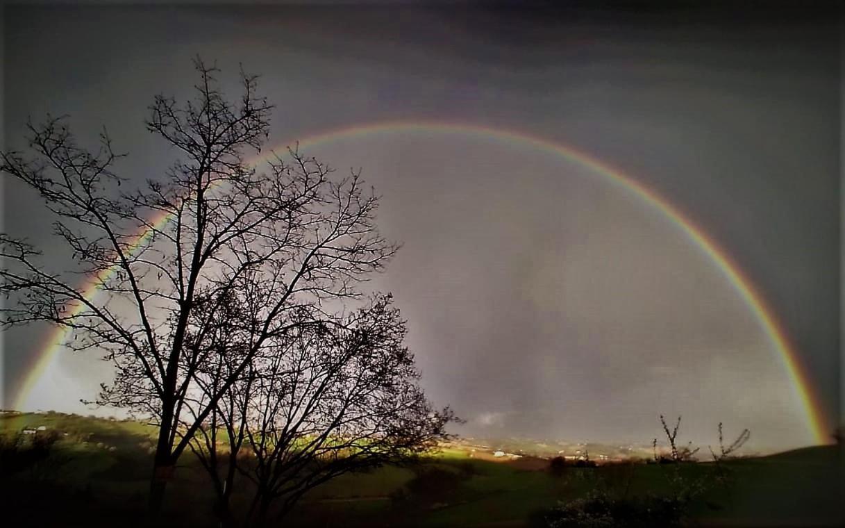 Barbagianni Villa Senigallia Luaran gambar