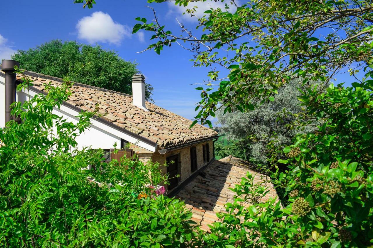 Barbagianni Villa Senigallia Luaran gambar